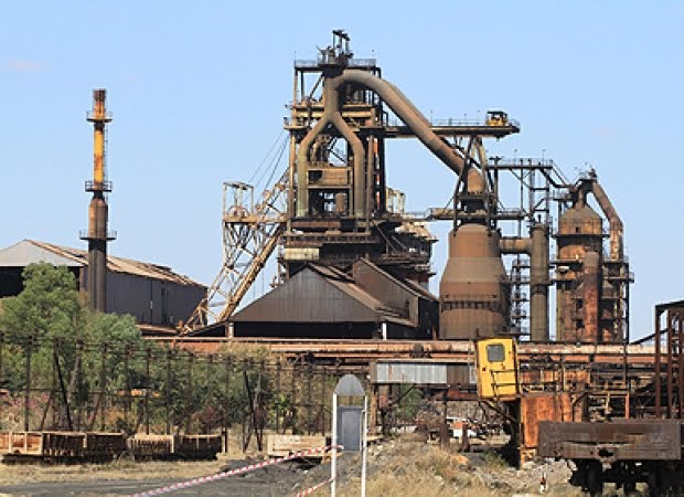 Another section of the plant