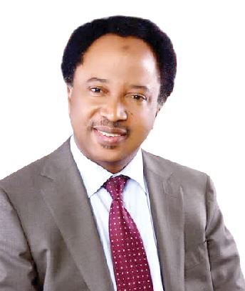 Yero, Shehu Sani, Katung clinch Kaduna APC senatorial tickets